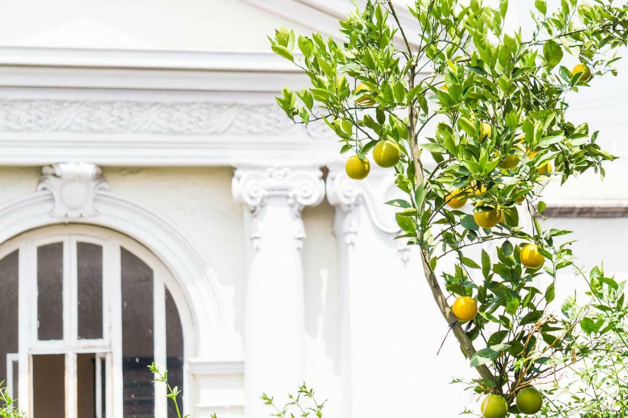 Myplace Zocalo Meksika Dış mekan fotoğraf