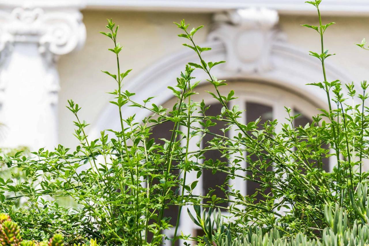 Myplace Zocalo Meksika Dış mekan fotoğraf